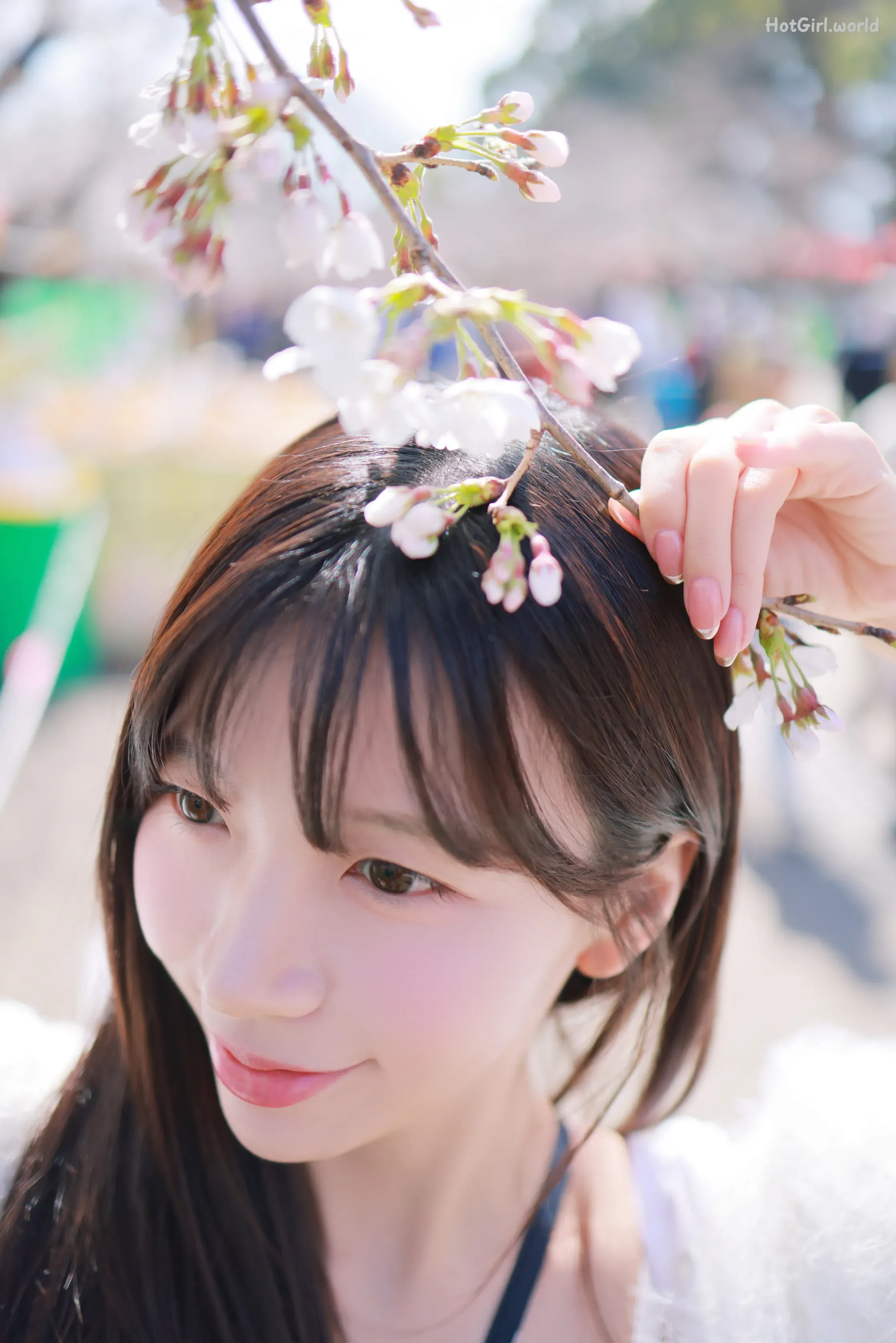 Patreon--leeesovely-Sakura-hotgirl.world-124.webp