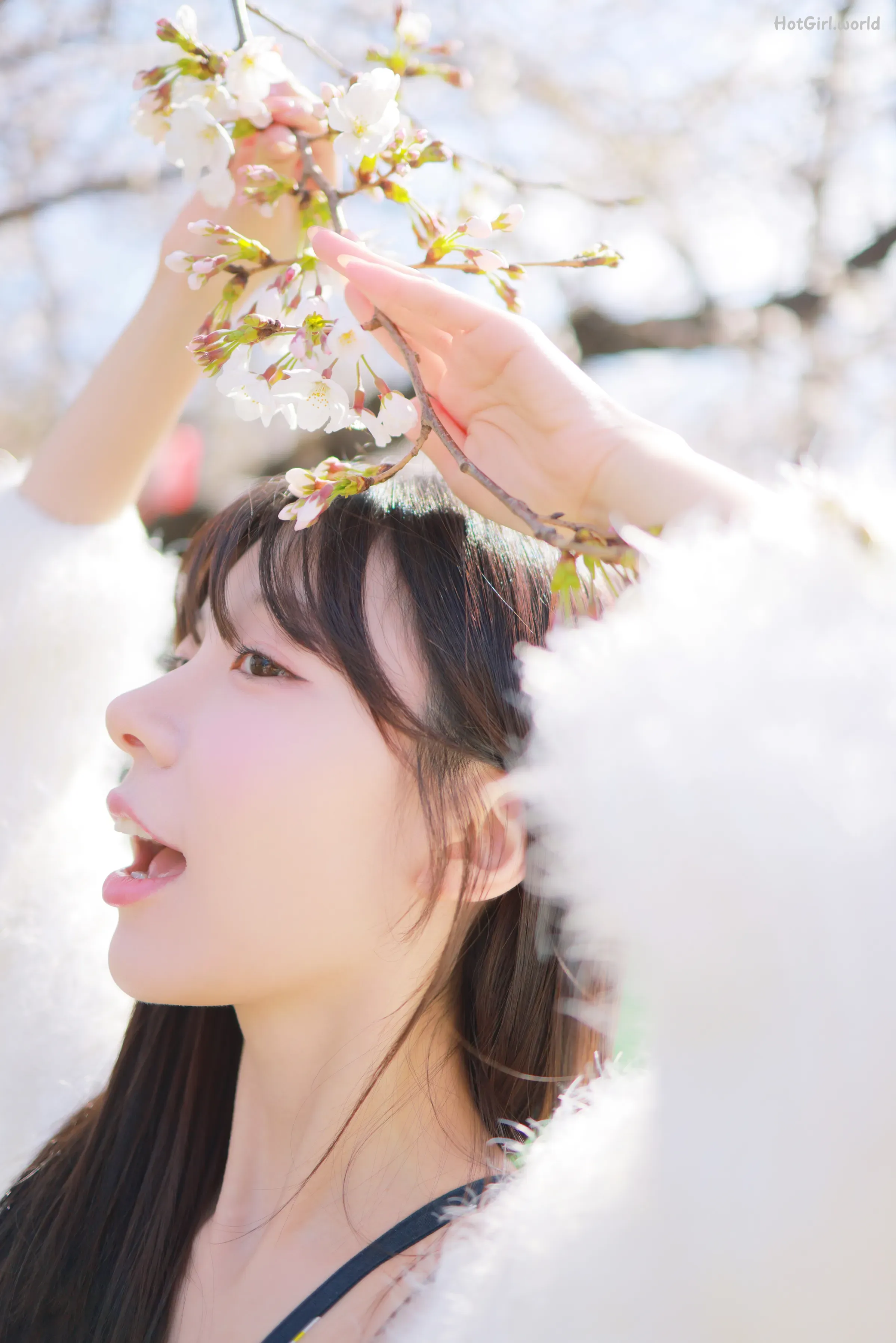 Patreon--leeesovely-Sakura-hotgirl.world-125.webp