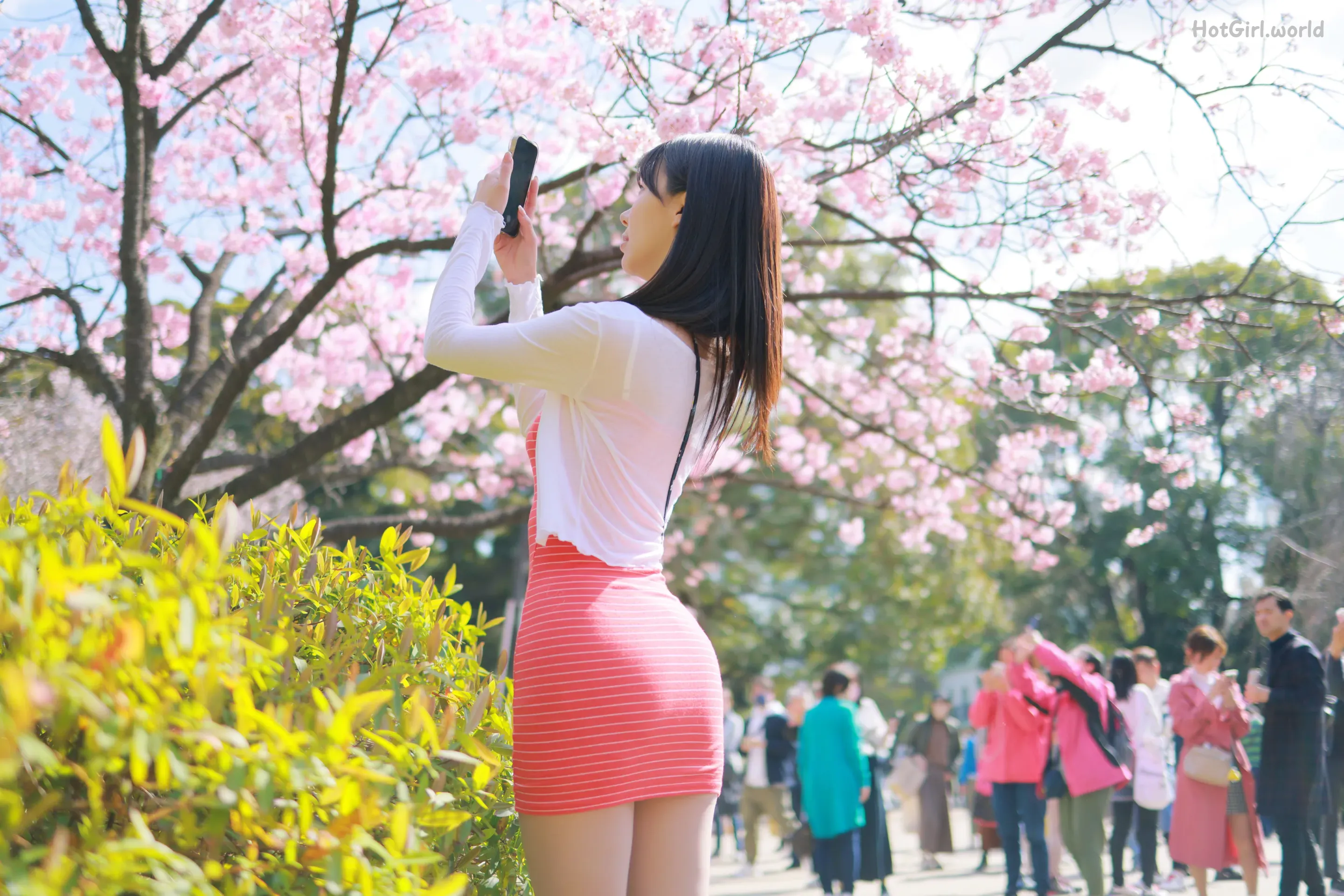 Patreon--leeesovely-Sakura-hotgirl.world-131.webp