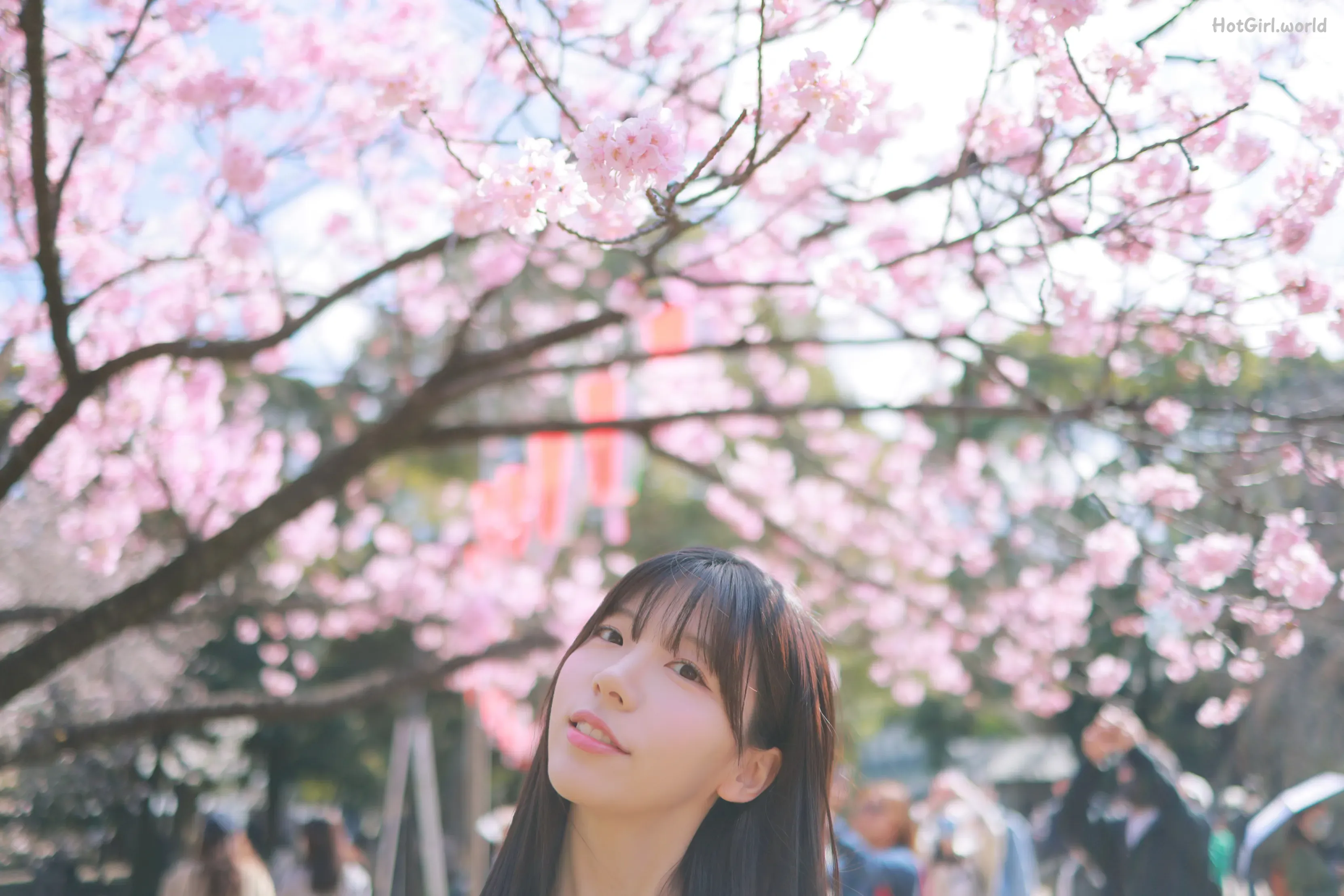 Patreon--leeesovely-Sakura-hotgirl.world-134.webp