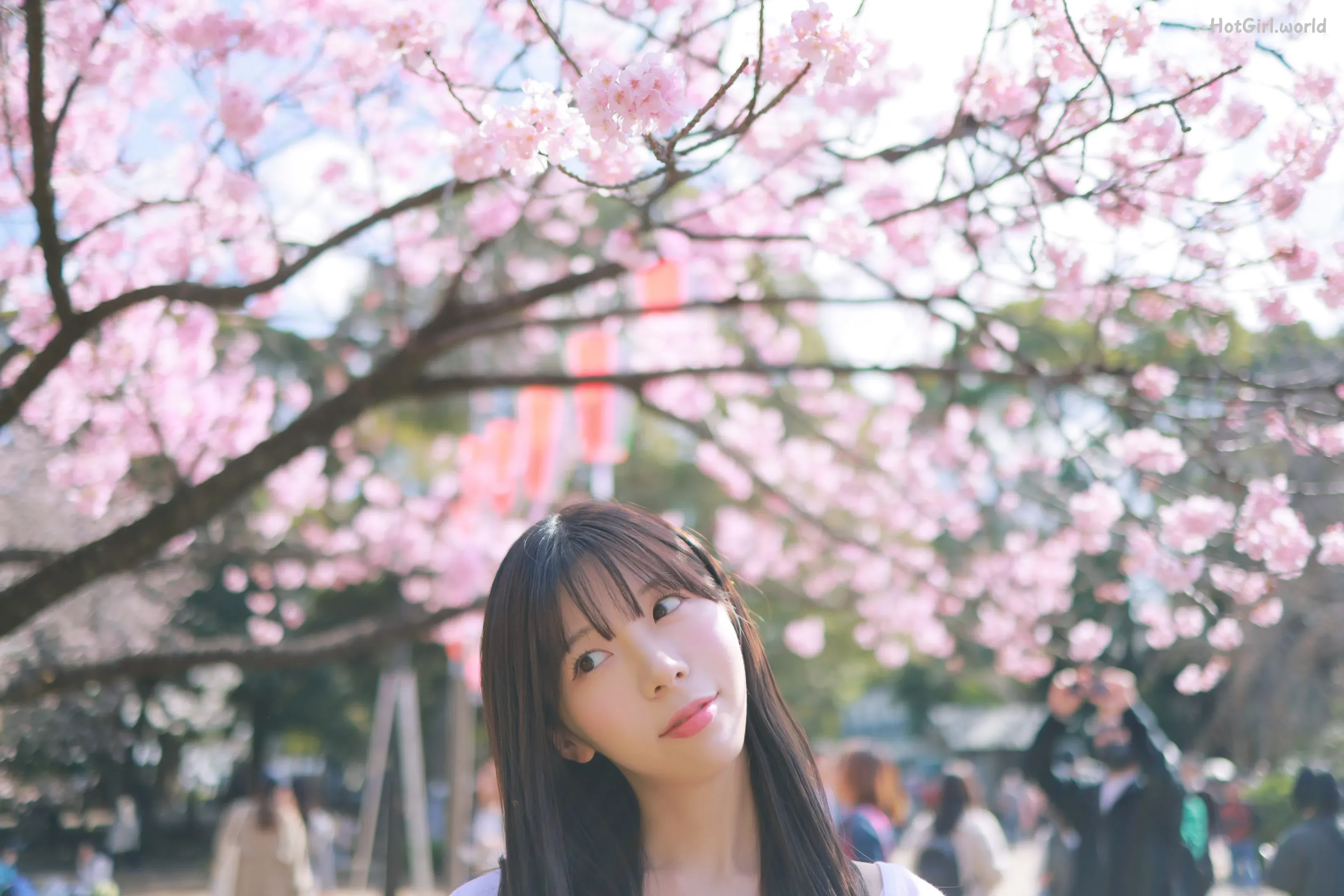 Patreon--leeesovely-Sakura-hotgirl.world-135.webp