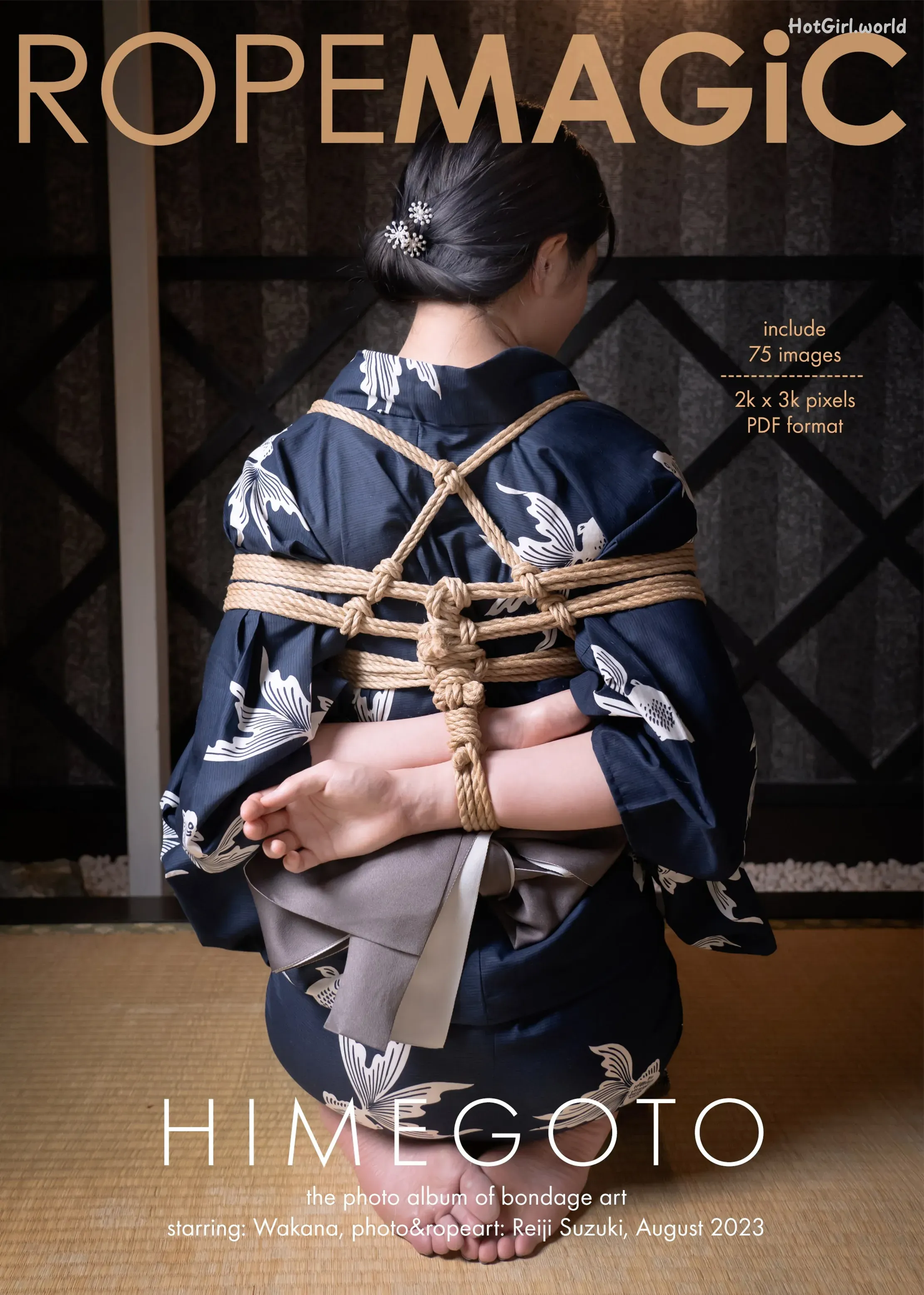 ROPEMAGiC-Reiji Suzuki-Himegoto