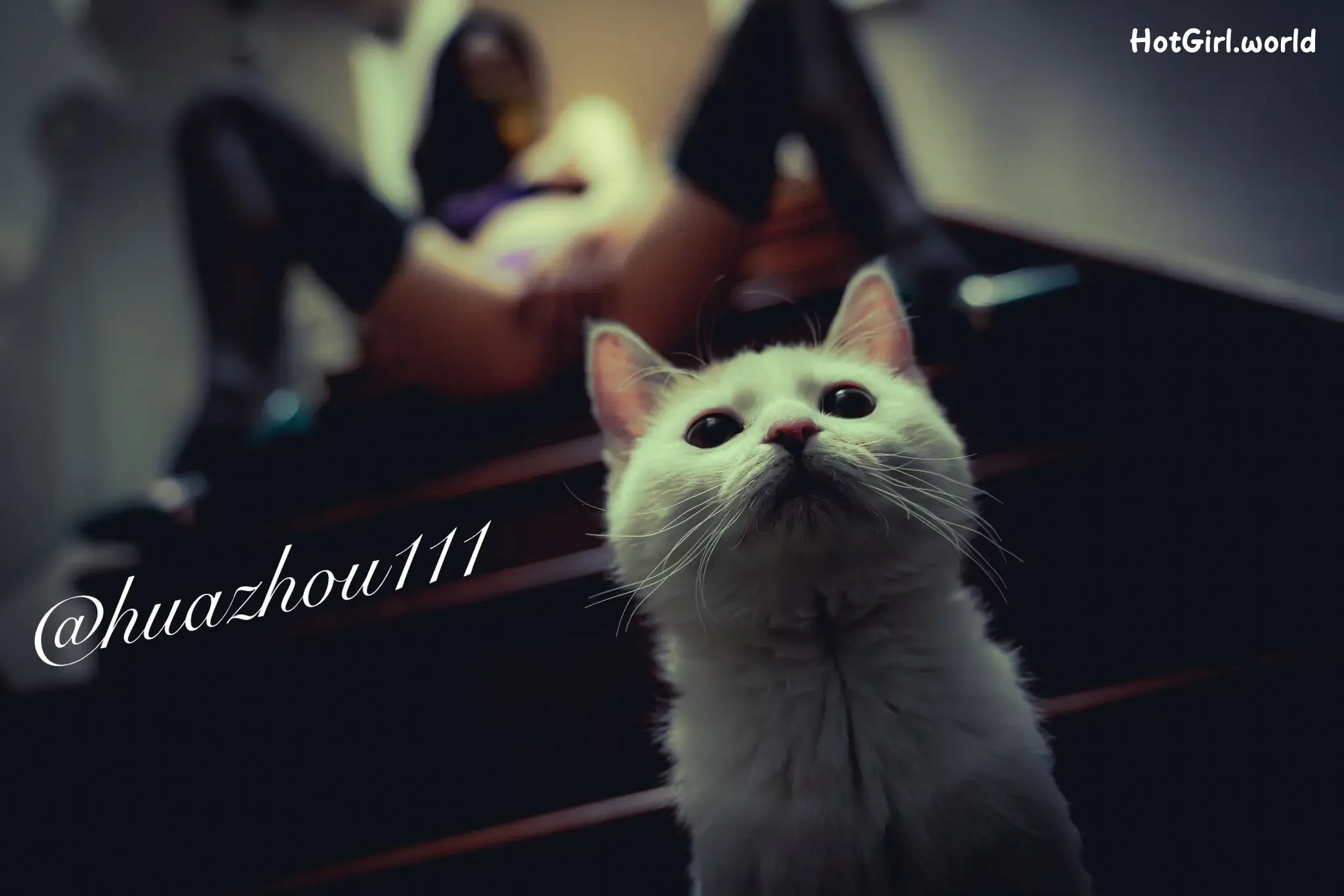 Huazhou-Photography-X-Photographer-hotgirl.world-127.webp