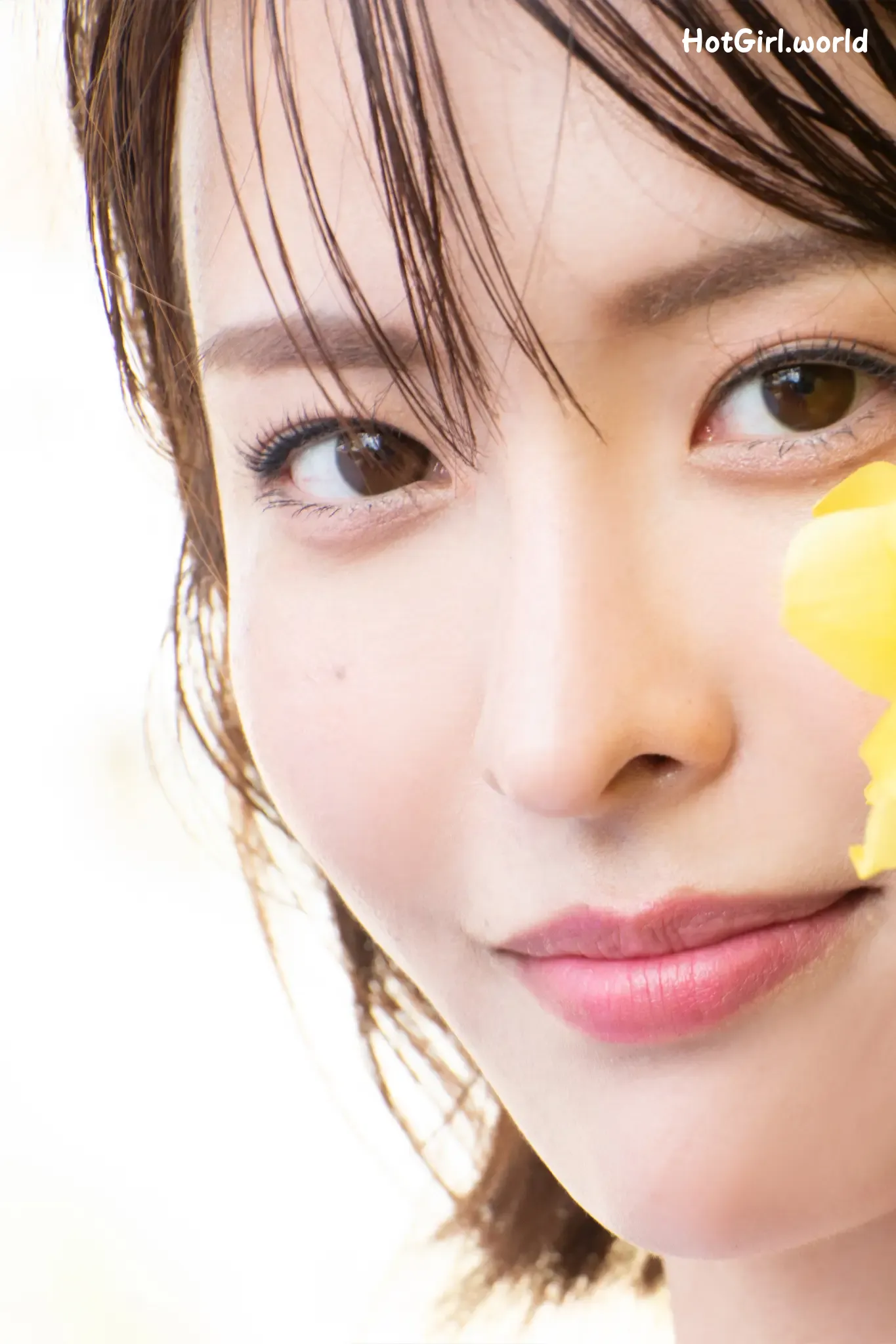 087.webp