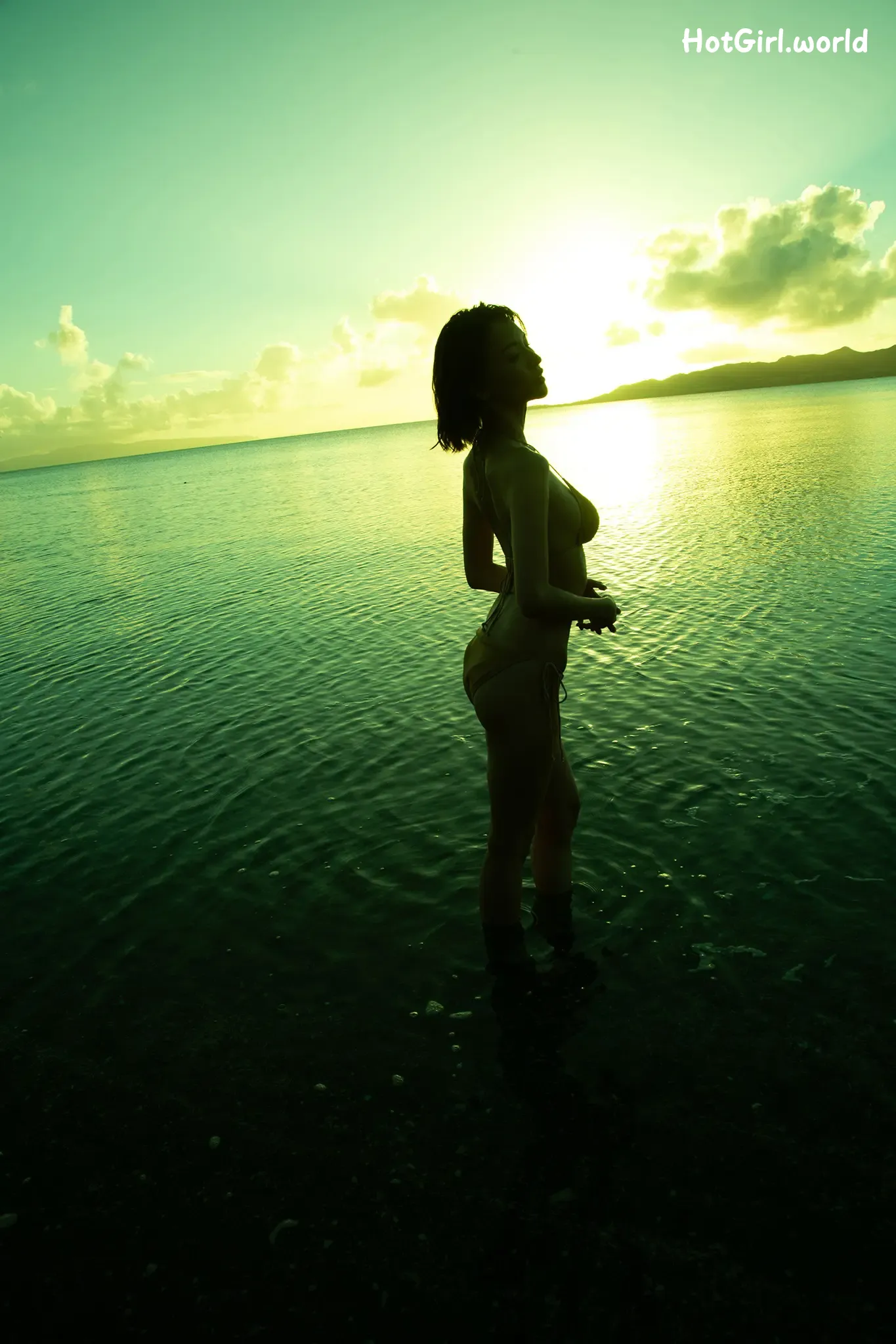 102.webp